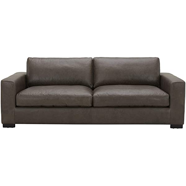 Amazon Brand - Stone & Beam Westview Extra-Deep Down-Filled Sofa Couch, 89