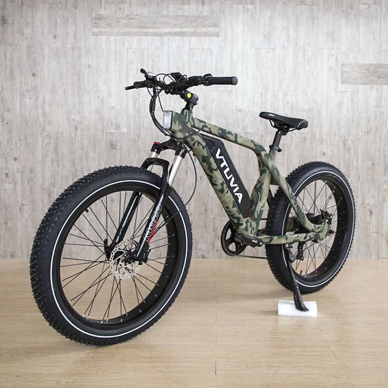 264.0 750W 1000W big power Fat tire electric Mountain E bikeSnow bikeelectric bicycle with CE