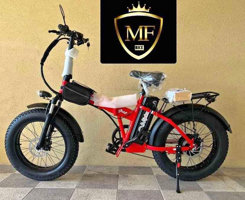 Bici elettrica Fat bike